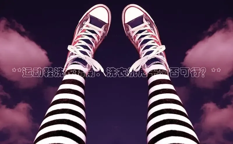 意昂3官网登陆入口百度手机卫士**运动鞋洗衣指南：洗衣机甩干是否可行？**