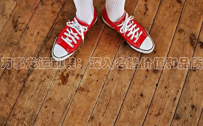 意昂三登录入口极氪智能科技万事龙运动鞋：深入名牌价值和品质