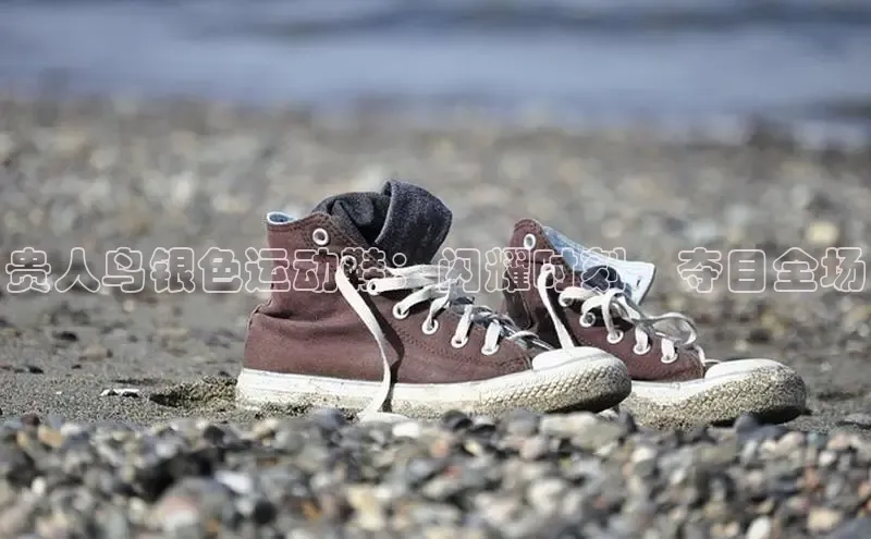 意昂3官网入口百度识图贵人鸟银色运动鞋：闪耀时刻，夺目全场