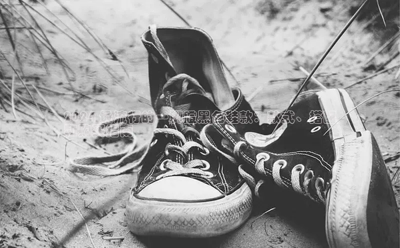 意昂3手机登录官方网站中文在线2024 最流行的一脚蹬黑色鞋款：款式、搭配
和购买指南