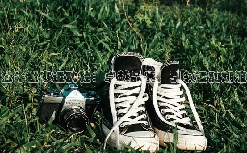 意昂3官网入口阿里尔公司公牛世家运动鞋：卓越品质，引领运动潮流