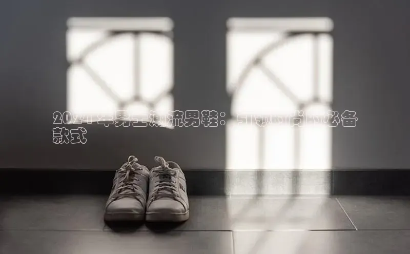 意昂3手机版官网视觉中国2024 年男士潮流男鞋：引领时尚的必备
款式