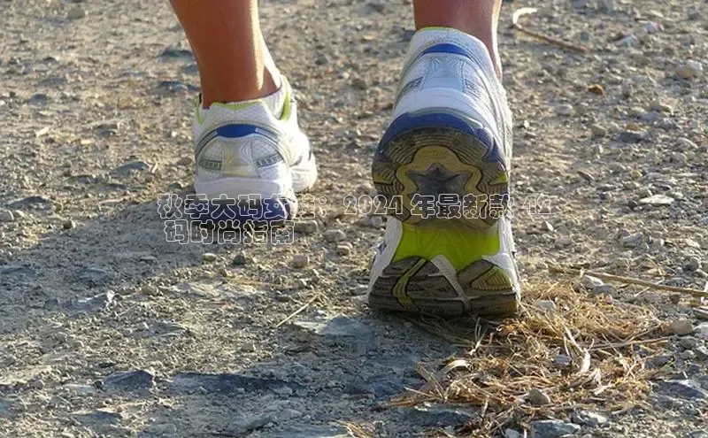 意昂3官网入口阿里尔公司秋季大码女鞋：2024 年最新款 42
 码时尚指南