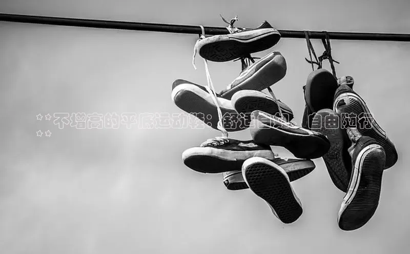 意昂体育3娱乐用176五八27从颐驰 06**不增高的平底运动鞋：舒适自如，自由随行
**