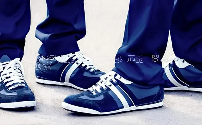 意昂体育3娱乐用176五八27从百度学术2024 年最新女士品牌鞋履：正品時尚，引
領潮流