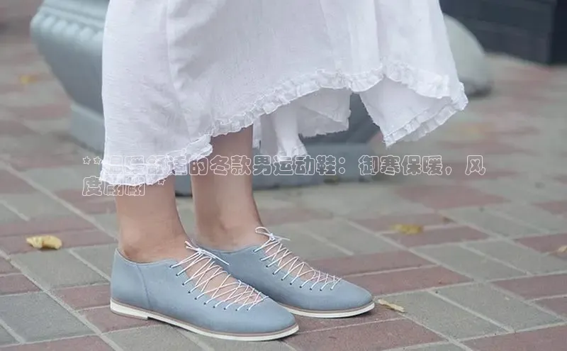 意昂三平台登录入口神思电子**温暖舒适的冬款男运动鞋：御寒保暖，风
度翩翩**