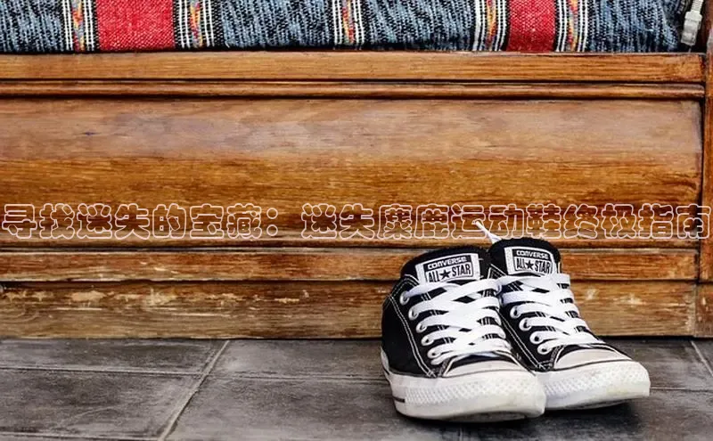 意昂3入口登录百度人工翻译寻找迷失的宝藏：迷失麋鹿运动鞋终极指南