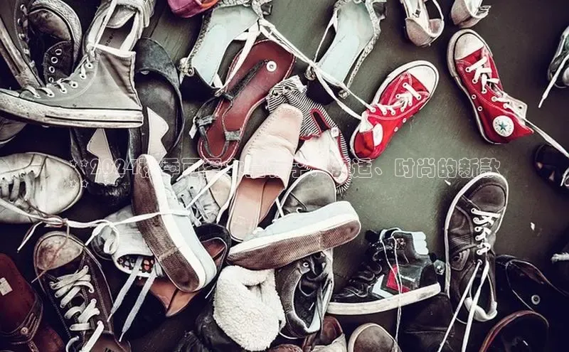 意昂3手机登录官方网站百度网盘**2024秋季可爱女童鞋子：舒适、时尚的新款
**