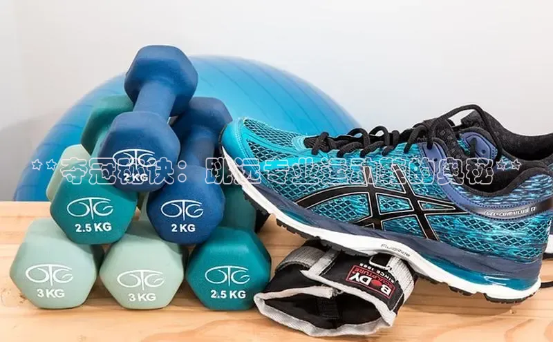 意昂3官网入口一径科技**夺冠秘诀：跳远专业运动鞋的奥秘**