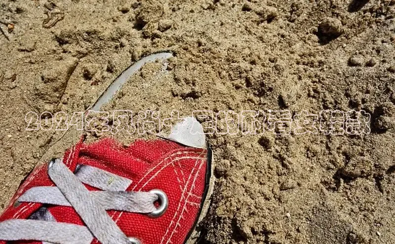 意昂3手机登录官方网站赛富乐斯2024年风尚十足的耐看女鞋款