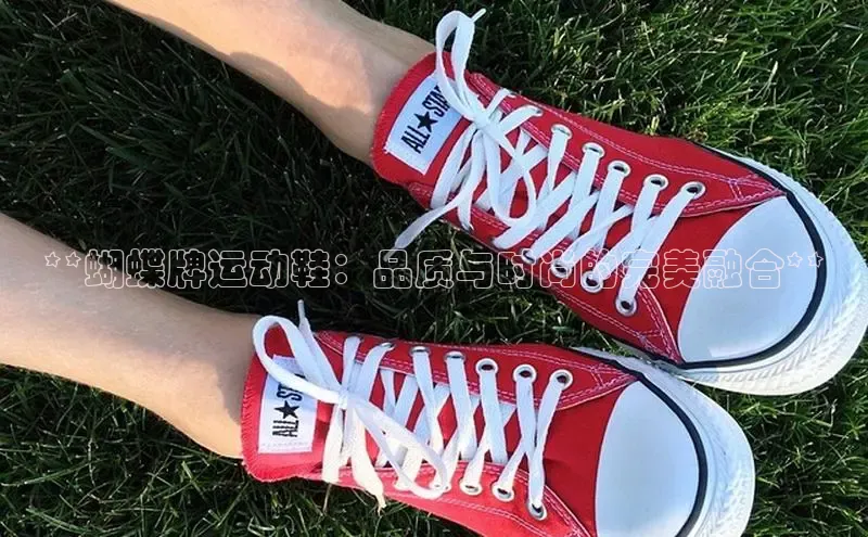 意昂3官网入口百度手机输入法**蝴蝶牌运动鞋：品质与时尚的完美融合**