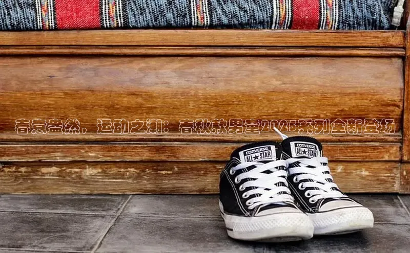 意昂体育3娱乐用176五八27从颐驰 06春意盎然，运动之潮：春秋款男童2025系列全新登场