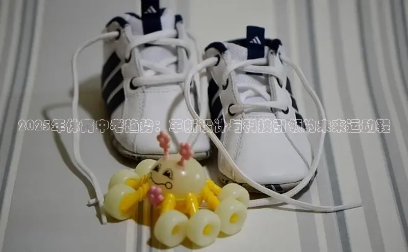 意昂3平台注册网页版中海达2025年体育中考趋势：革新设计与科技引领的未来运动鞋