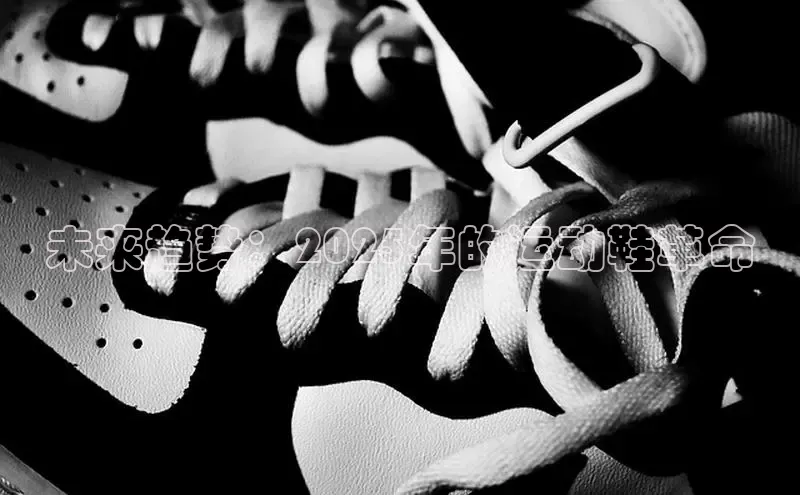 未来趋势：2025年的运动鞋革命