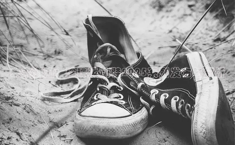 未来潮流：珍珠运动鞋2025系列发布与分析