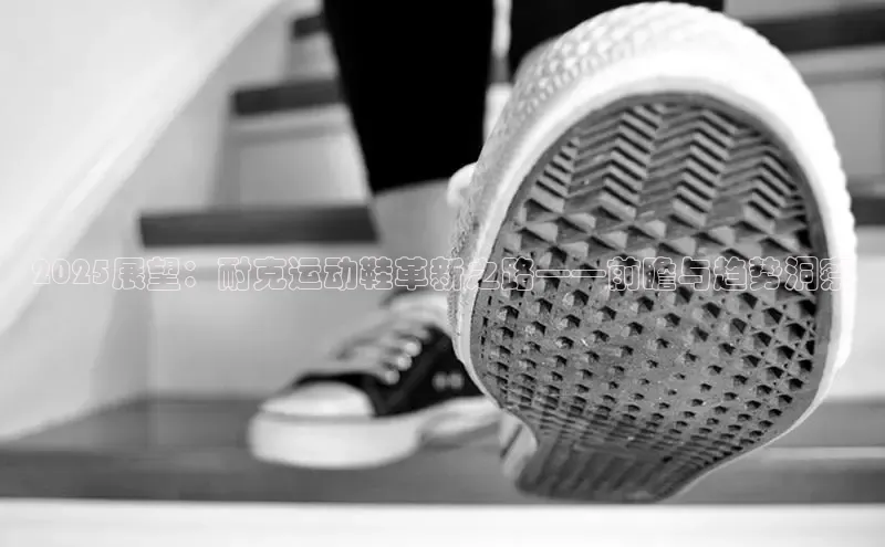 2025展望：耐克运动鞋革新之路——前瞻与趋势洞察